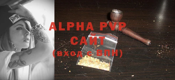 шишки Абаза