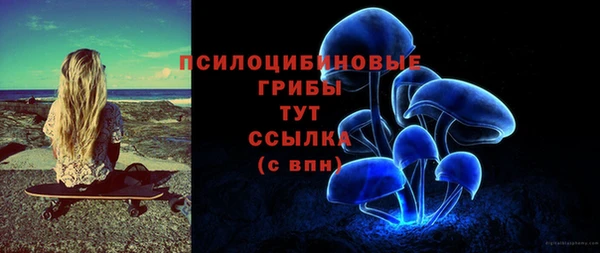 сатива Алексин