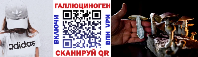 закладки  Невинномысск  Галлюциногенные грибы мухоморы 