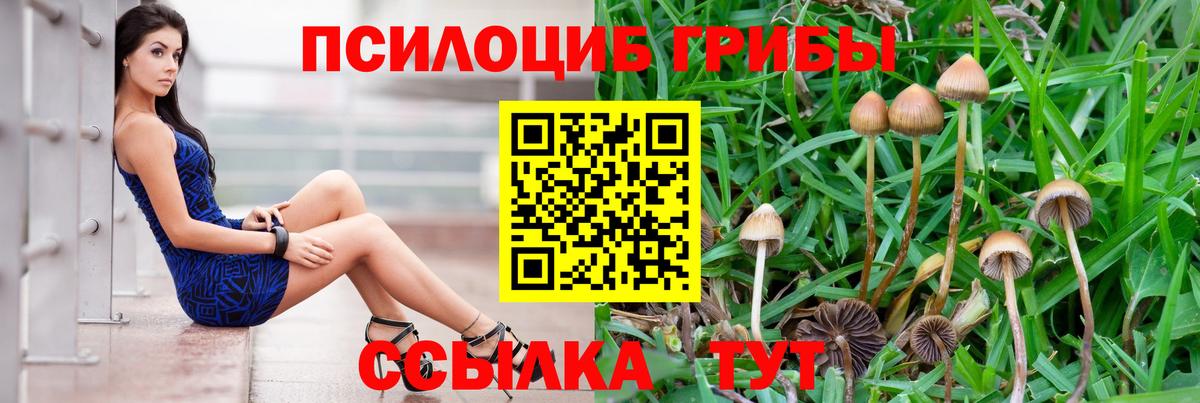 Псилоцибиновые грибы MAGIC MUSHROOMS  Галлюциногенные грибы Psilocybe  Невинномысск  Вход с VPN 