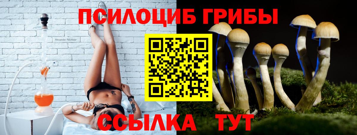 Галлюциногенные грибы прущие грибы Невинномысск