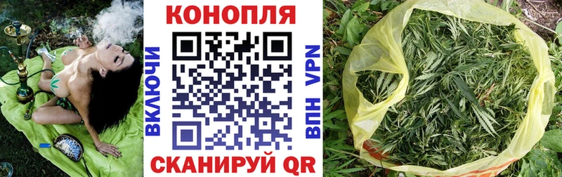 Каннабис план Невинномысск